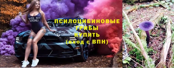 шишки Алексин