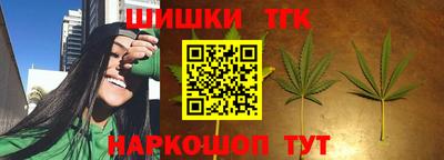 гидра Можга