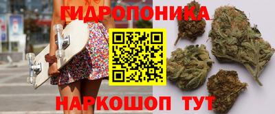 гидра Можга