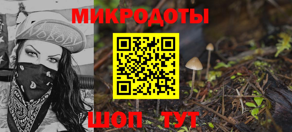 купить наркотики сайты  Галлюциногенные грибы Magic Shrooms  Вход с VPN  Галлюциногенные грибы мухоморы  Ярцево 