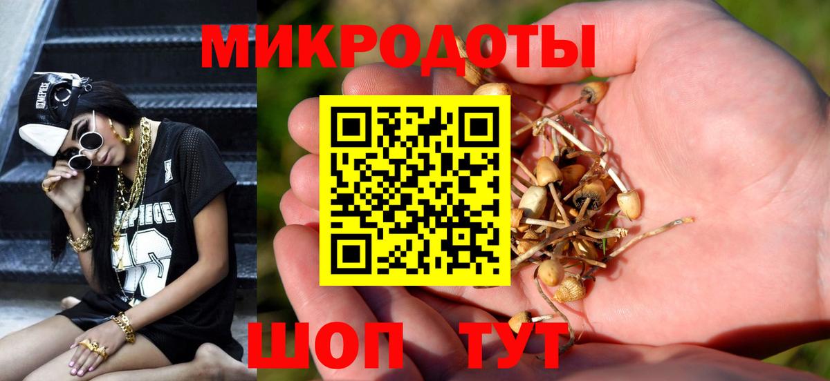ГАШ Ярцево